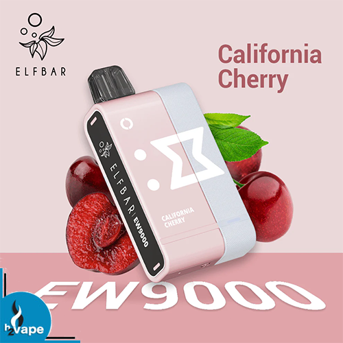 Elf Bar EW9000 Kit  h2vape Boksburg