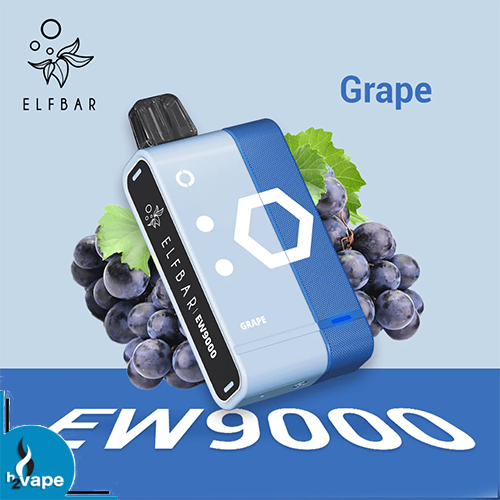 Elf Bar EW9000 Kit